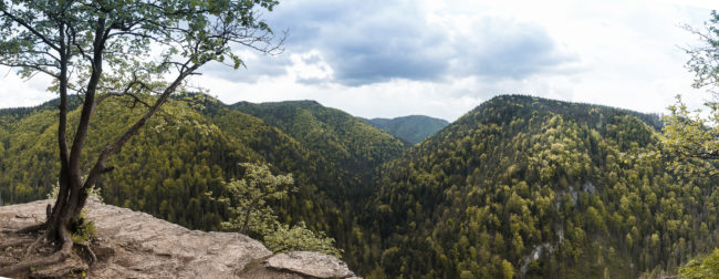 Spišské Tomášovce, Slovenia - GPS 48.945042, 20.459627 - Panasonic GH4 + Panasonic Lumix G Vario 12-35mm/2,8 OIS - 24mm - 1/80 - f/8.0 - ISO200