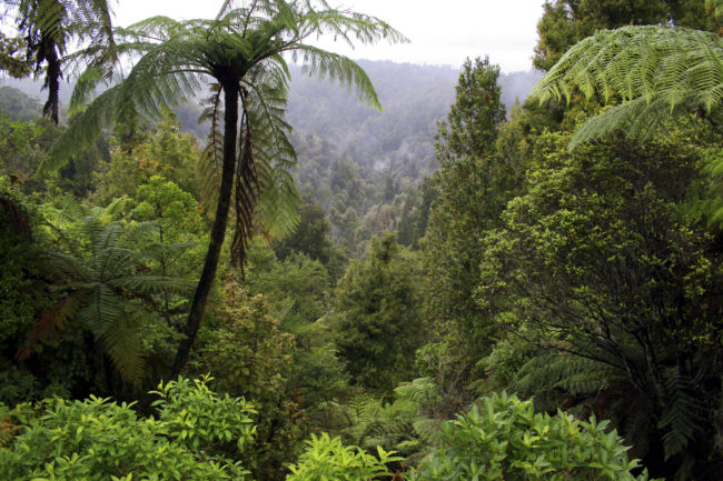 Whangamomona, New Zealand - GPS -39.176085, 174.744737 - Canon EOS 20D + Canon EF-S 17-85mm f/4-5.6 IS USM -  - 0/1 - f/8.0 - ISO100
