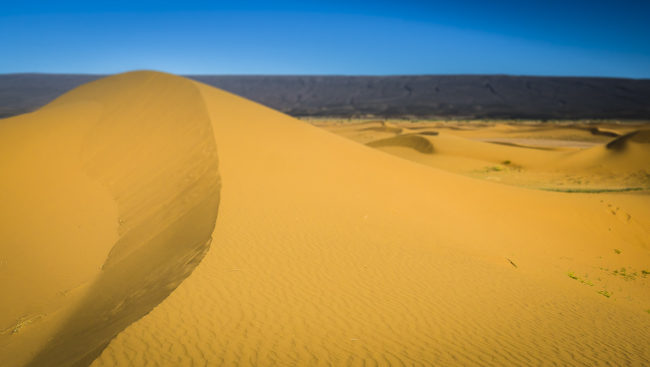 El Gouera, Morocco - GPS 29.931177, -6.326092 - Panasonic GH4 + Panasonic Lumix G Vario 12-35mm/2,8 OIS - 36mm - 1/400 - f/8.0 - ISO200