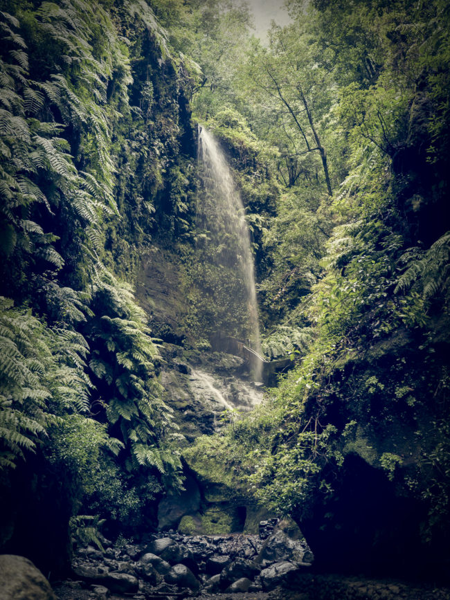 Orotava, Spain - GPS 28.788667, -17.802207 - Panasonic GH4 + Panasonic Lumix G Vario 12-35mm/2,8 OIS - 44mm - 1/30 - f/2.8 - ISO400