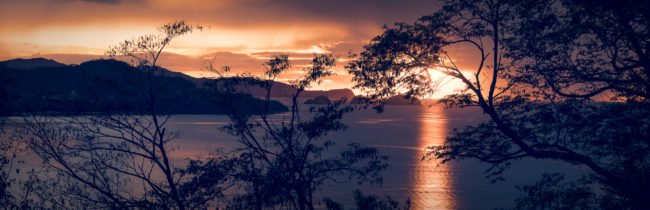 Iguanita, Costa Rica - GPS 10.612500, -85.639722 - Panasonic Lumix DMC-GH5 + LUMIX G VARIO 35-100/F2.8 - 200mm - 1/15 - f/8.0 - ISO100