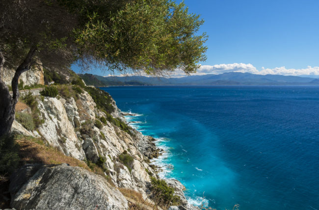 Albo, France - GPS 42.817585, 9.324722 - Panasonic GH4 + Panasonic Lumix G Vario 12-35mm/2,8 OIS - 24mm - 1/100 - f/8.0 - ISO200