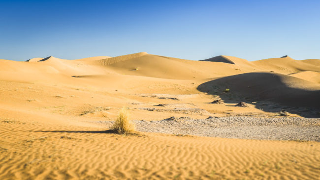 El Gouera, Morocco - GPS 29.857848, -6.245493 - Panasonic GH4 + Panasonic Lumix G Vario 12-35mm/2,8 OIS - 48mm - 1/125 - f/8.0 - ISO200