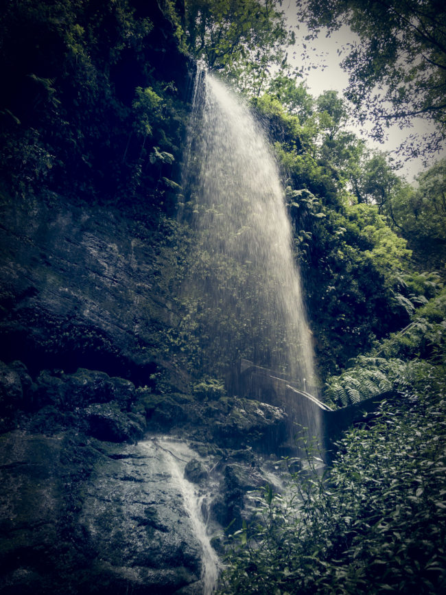 Orotava, Spain - GPS 28.788667, -17.802207 - Panasonic GH4 + Panasonic Lumix G Vario 12-35mm/2,8 OIS - 24mm - 1/40 - f/2.8 - ISO640