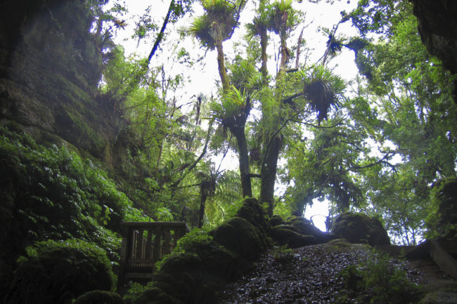 Te Anga, New Zealand - GPS -38.260858, 174.899833 - Canon EOS 20D + Canon EF-S 17-85mm f/4-5.6 IS USM -  - 1/100 - f/8.0 - ISO100