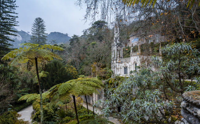 São Martinho, Portugal - GPS 38.796087, -9.395927 - Panasonic GH4 + Panasonic LEICA DG SUMMILUX 12mm f1.4 - 24mm - 1/40 - f/4.0 - ISO200