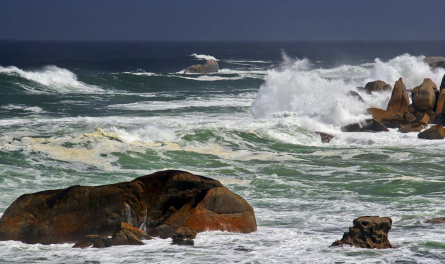 Oudekraal Nature Reserve, South Africa - GPS -33.988073, 18.350145 - Canon EOS 20D + Canon EF-S 17-85mm f/4-5.6 IS USM -  - 1/100 - f/8.0 - ISO100