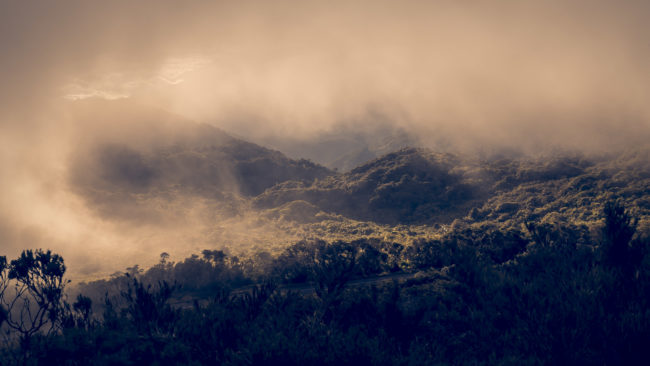 San Gerardo de Dota, Costa Rica - GPS 9.574883, -83.757188 - Panasonic Lumix DMC-GH5 + LUMIX G VARIO 12-35/F2.8 - 34mm - 1/13 - f/16.0 - ISO100