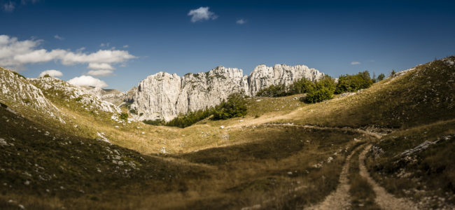 Kozarica, Montenegro - GPS 43.070278, 19.006388 - Panasonic GH4 + Panasonic Lumix G Vario 12-35mm/2,8 OIS - 38mm - 1/200 - f/8.0 - ISO200