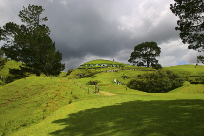 Hinuera, New Zealand - GPS -37.857828, 175.680578 - Canon EOS 20D + Canon EF-S 17-85mm f/4-5.6 IS USM -  - 0/1 - f/8.0 - ISO100