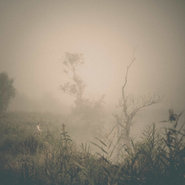 Bradu, Romania - GPS 45.727353, 24.348544 - Sony A7III + SONY FE 24-105mm, F4 G OSS - 105mm - 1/200 - f/4.0 - ISO100