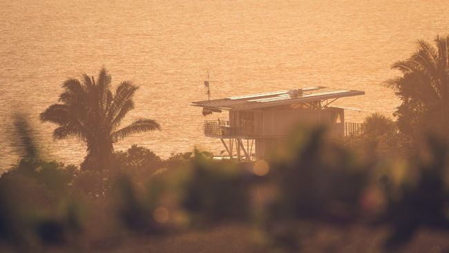 Carate, Costa Rica - GPS 8.443950, -83.436787 - Panasonic Lumix DMC-GH5 + LEICA DG 100-400/F4.0-6.3 - 500mm - 1/100 - f/5.4 - ISO160