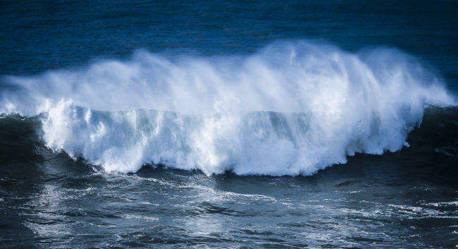 Cavaleiro, Portugal - GPS 37.605075, -8.815842 - Panasonic GH4 + Panasonic Lumix G X VARIO 35-100mm f/2.8 Power OIS - 200mm - 1/1000 - f/3.2 - ISO200