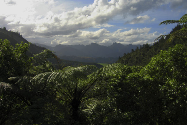 Hot Water Beach, New Zealand - GPS -36.922513, 175.834030 - Canon EOS 20D + Canon EF-S 17-85mm f/4-5.6 IS USM -  - 0/1 - f/8.0 - ISO100