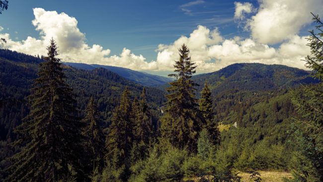 Covacipeter, Romania - GPS 46.776174, 25.716686 - Sony A7III + SONY FE 24-105mm, F4 G OSS - 24mm - 1/40 - f/10.0 - ISO100