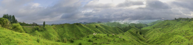 New Zealand, New Zealand - GPS -39.123878, 174.725847 - Canon EOS 20D + Canon EF-S 17-85mm f/4-5.6 IS USM -  - 0/1 - f/8.0 - ISO100