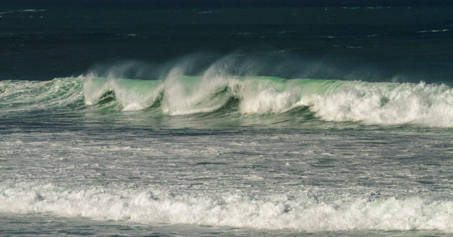La Rambla, Spain - GPS 28.394568, -16.601827 - Canon EOS 7D + Canon EF 70-200mm f/4 USM L IS -  - 1/500 - f/8.0 - ISO100