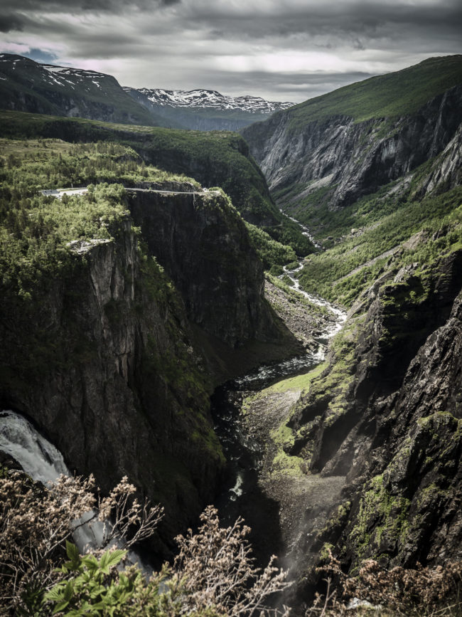 Garden, Norway - GPS 60.427437, 7.253603 - Panasonic GH4 + Panasonic Lumix G Vario 12-35mm/2,8 OIS - 24mm - 1/400 - f/2.8 - ISO100