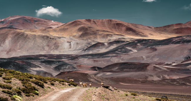Zorras, Chile - GPS -24.601578, -68.213523 - Sony A7III + SONY FE 24-105mm, F4 G OSS - 105mm - 1/400 - f/4.0 - ISO100