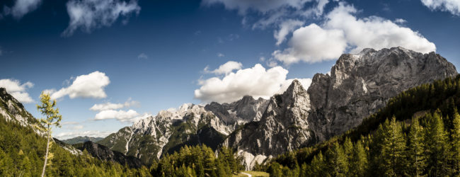 Tamar, Slovenia - GPS 46.438612, 13.746945 - Panasonic GH4 + Panasonic Lumix G Vario 12-35mm/2,8 OIS - 24mm - 1/200 - f/8.0 - ISO200