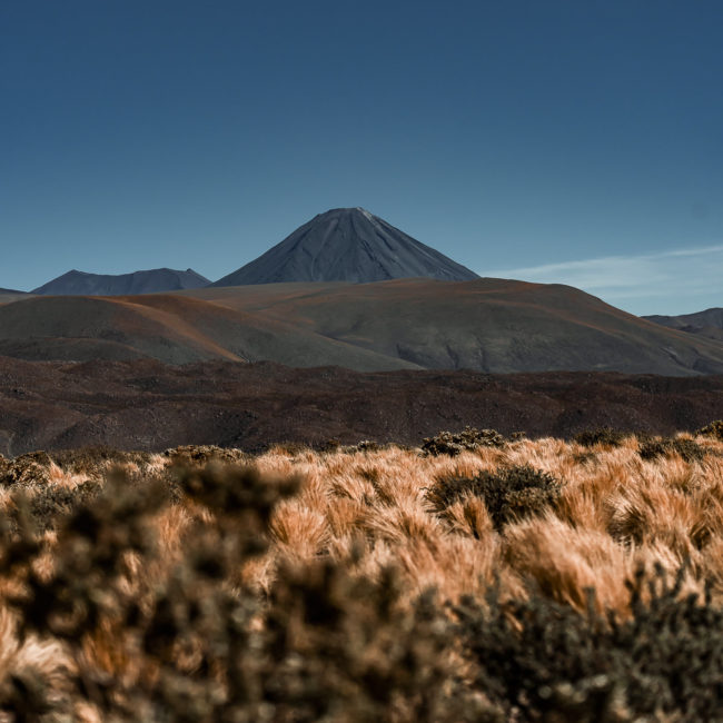San Pedro de Atacama, Chile - GPS -22.667857, -68.044318 - Sony A7III + SONY FE 70-300mm F4.5-5.6 G OSS - 70mm - 1/5000 - f/5.0 - ISO1000