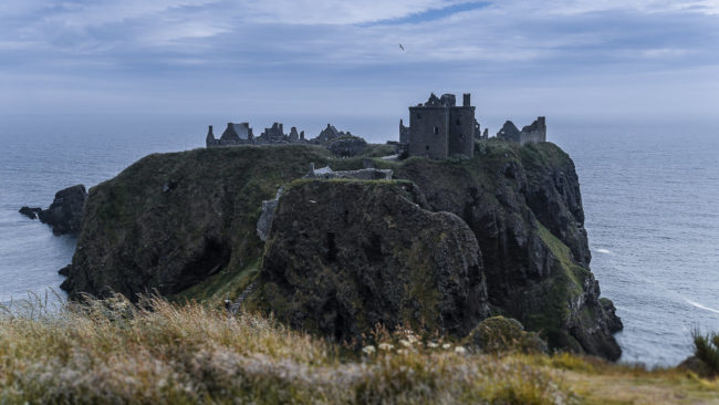 Dunnottar, United Kingdom - GPS 56.945898, -2.205873 - Panasonic Lumix DMC-GH5 + Panasonic Lumix G Vario 12-35mm/2,8 OIS - 34mm - 1/320 - f/8.0 - ISO200