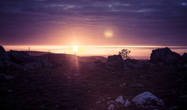 Gestoso, Portugal - GPS 40.873665, -8.233732 - Panasonic GH4 + Panasonic Lumix G Vario 12-35mm/2,8 OIS - 58mm - 1/320 - f/3.2 - ISO200