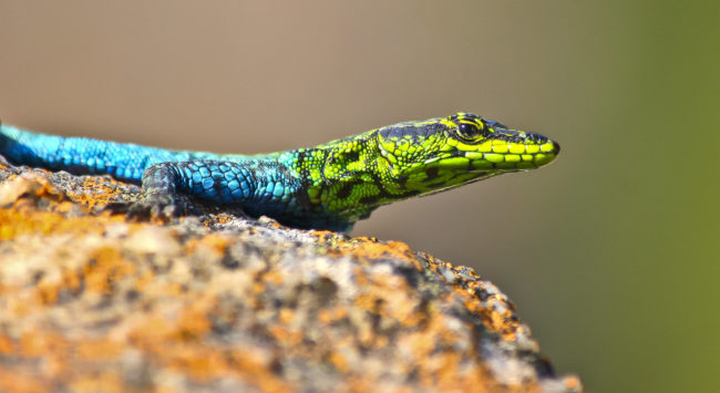 Blyde River Canyon, South Africa - GPS -24.572648, 30.799425 - Canon EOS 20D + Canon EF-S 17-85mm f/4-5.6 IS USM -  - 0/1 - f/8.0 - ISO100