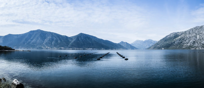 Ljuta, Montenegro - GPS 42.474445, 18.764722 - Panasonic GH4 + Panasonic Lumix G Vario 12-35mm/2,8 OIS - 24mm - 1/200 - f/8.0 - ISO200