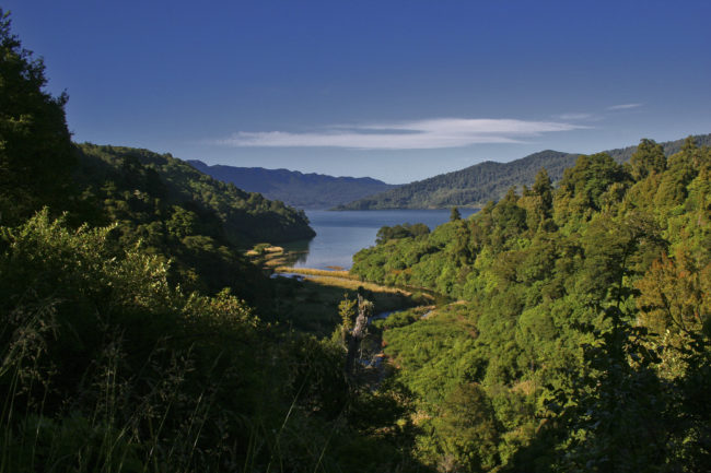 Waikaremoana, New Zealand - GPS -38.742512, 177.157610 - Canon EOS 20D + Canon EF-S 17-85mm f/4-5.6 IS USM -  - 0/1 - f/8.0 - ISO100