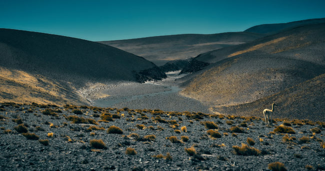 Culampajá, Argentina - GPS -26.732088, -66.999980 - Sony A7III + SONY FE 24-105mm, F4 G OSS - 103mm - 1/1250 - f/8.0 - ISO1250