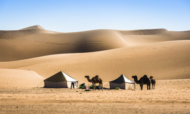 El Gouera, Morocco - GPS 29.815893, -6.027693 - Panasonic GH4 + Panasonic Lumix G X VARIO 35-100mm f/2.8 Power OIS - 200mm - 1/250 - f/8.0 - ISO200