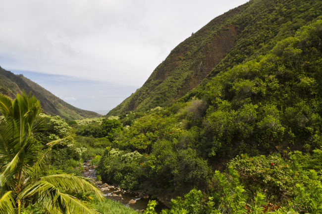 Wailuku Ahupua`a, Hawaii - GPS 20.880828, -156.545718 - Canon EOS 7D + Sigma 17-50mm, F2,8 EX DC OS HSM -  - 1/50 - f/7.1 - ISO100