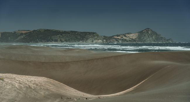 Laguna Topocalma, Chile - GPS -34.111103, -71.977698 - Sony A7III + SONY FE 24-105mm, F4 G OSS - 68mm - 1/500 - f/4.0 - ISO100