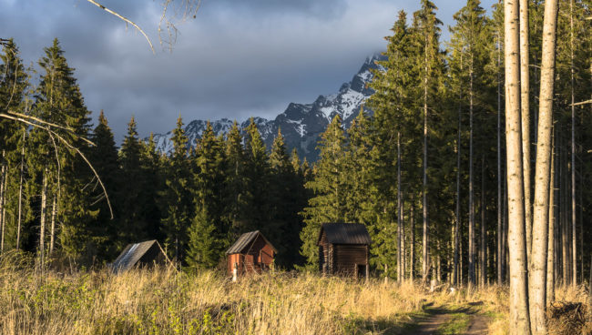 Podbanské, Slovenia - GPS 49.136750, 19.925138 - Panasonic GH4 + Panasonic Lumix G Vario 12-35mm/2,8 OIS - 70mm - 1/60 - f/8.0 - ISO200