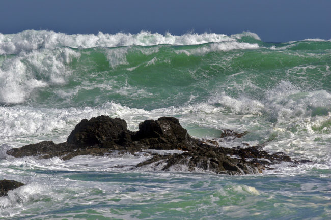 Houghton Bay, New Zealand - GPS -41.345653, 174.778227 - Canon EOS 20D + Canon EF-S 17-85mm f/4-5.6 IS USM -  - 1/100 - f/8.0 - ISO100