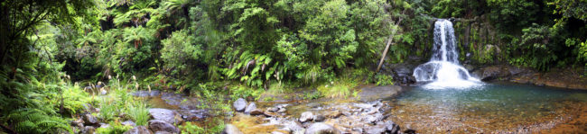 Ahimia, New Zealand - GPS -36.832392, 175.548225 - Canon EOS 20D + Canon EF-S 17-85mm f/4-5.6 IS USM -  - 0/1 - f/8.0 - ISO100