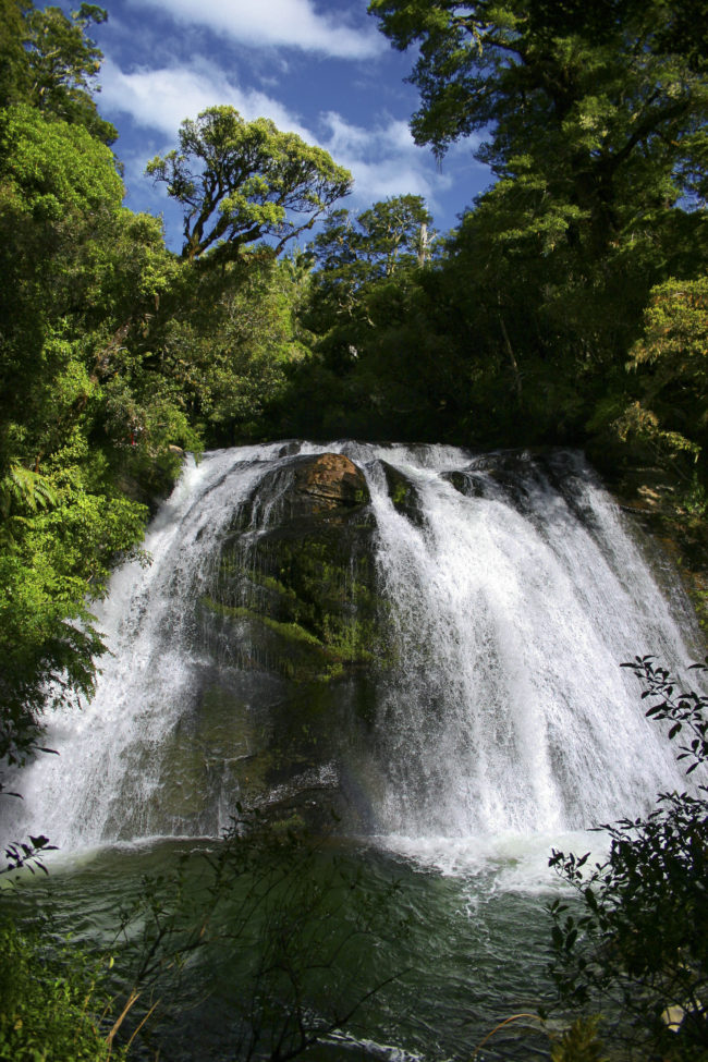 Waikaremoana, New Zealand - GPS -38.742980, 177.161740 - Canon EOS 20D + Canon EF-S 17-85mm f/4-5.6 IS USM -  - 0/1 - f/8.0 - ISO100