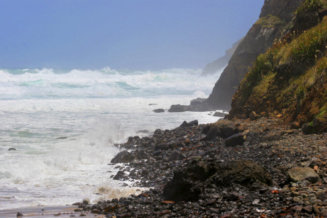 Oranoa, New Zealand - GPS -35.668348, 173.478885 - Canon EOS 20D + Canon EF-S 17-85mm f/4-5.6 IS USM -  - 0/1 - f/8.0 - ISO100