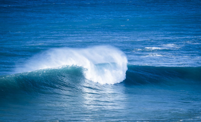 Cavaleiro, Portugal - GPS 37.605048, -8.815892 - Panasonic GH4 + Panasonic Lumix G X VARIO 35-100mm f/2.8 Power OIS - 200mm - 1/500 - f/2.8 - ISO200