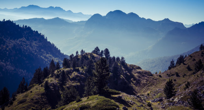 Potrk, Montenegro - GPS 42.907690, 19.378372 - Panasonic GH4 + Panasonic Lumix G Vario 12-35mm/2,8 OIS - 70mm - 1/320 - f/8.0 - ISO200