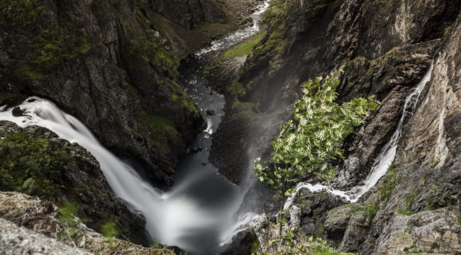 Garden, Norway - GPS 60.427437, 7.253603 - Panasonic GH4 + Panasonic Lumix G Vario 12-35mm/2,8 OIS - 26mm - 20/1 - f/11.0 - ISO100