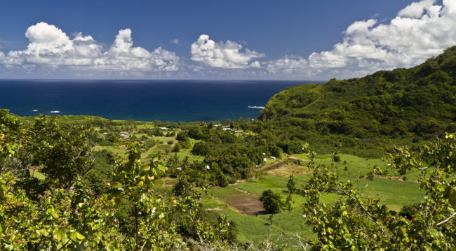 Hana Hwy, United States - GPS 20.842698, -156.139903 - Canon EOS 7D + Sigma 17-50mm, F2,8 EX DC OS HSM -  - 1/80 - f/7.1 - ISO100