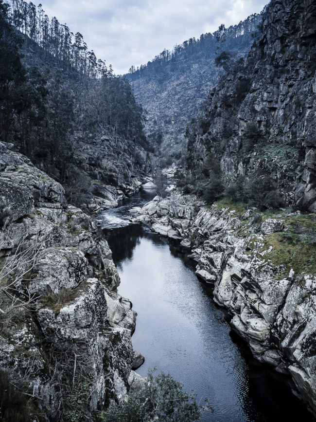 Cortegada, Portugal - GPS 40.957588, -8.173883 - Panasonic GH4 + Panasonic Lumix G Vario 12-35mm/2,8 OIS - 24mm - 1/125 - f/3.2 - ISO200