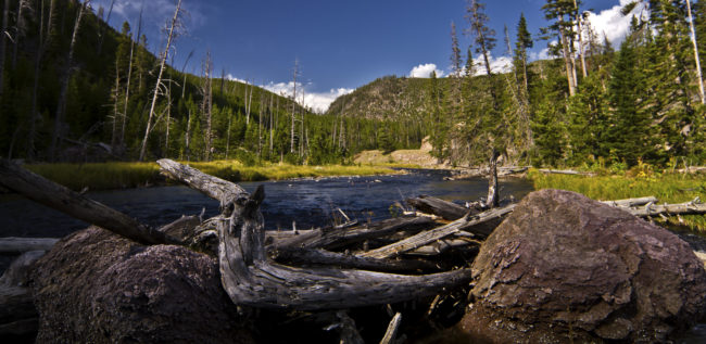 Canyon Junction, United States - GPS 44.741102, -110.706358 - Canon EOS 7D + Tokina AF 11-16mm f/2.8 AT-X Pro DX -  - 0/1 - f/8.0 - ISO100