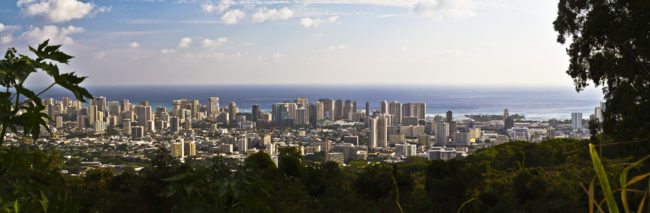 Makiki Heights, United States - GPS 21.318365, -157.830008 - Canon EOS 7D + Tokina AF 11-16mm f/2.8 AT-X Pro DX -  - 1/100 - f/8.0 - ISO100
