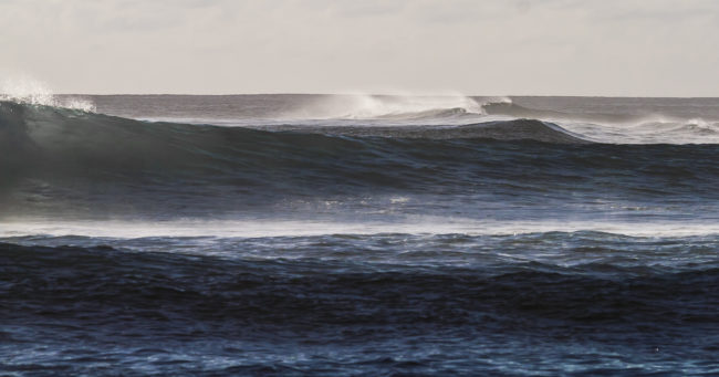 Lotissement Bellevue, Ile De La Reunion - GPS -21.111333, 55.254437 - Canon EOS 7D + Canon EF 70-200mm f/4 USM L IS -  - 1/1000 - f/9.0 - ISO100