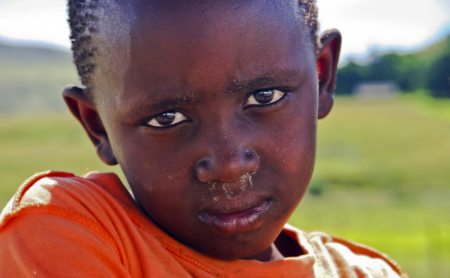 Nzinga, South Africa - GPS -29.517735, 29.717223 - Canon EOS 20D + Canon EF-S 17-85mm f/4-5.6 IS USM -  - 0/1 - f/8.0 - ISO100