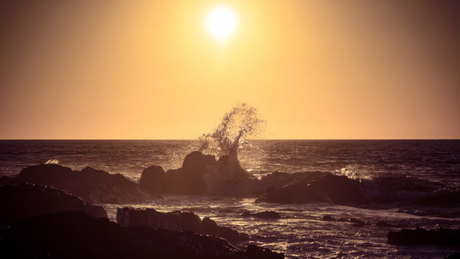 Perales, Chile - GPS -25.022933, -70.471017 - Sony A7III + SONY FE 70-300mm F4.5-5.6 G OSS - 120mm - 1/1250 - f/5.0 - ISO100