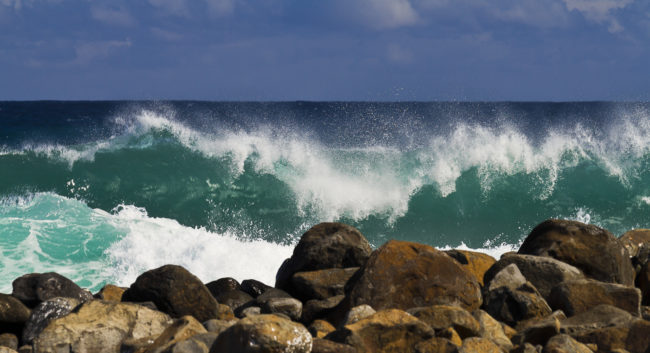 Makapala Ahupua`a, Hawaii - GPS 20.228137, -155.745402 - Canon EOS 7D + Canon EF 70-200mm f/4 USM L IS -  - 1/160 - f/8.0 - ISO100